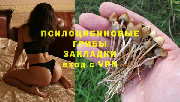 2c-b Приозерск