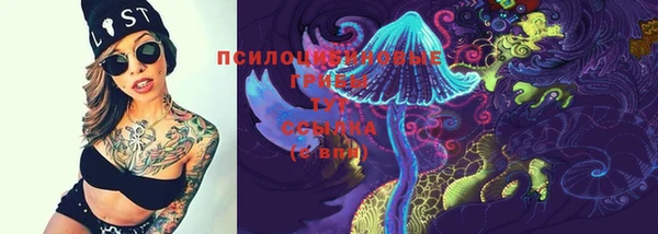 прущие крисы Покачи