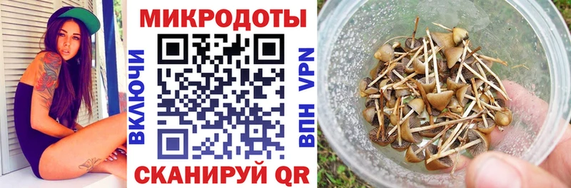 что такое наркотик  Волжск  hydra сайт  Галлюциногенные грибы MAGIC MUSHROOMS 