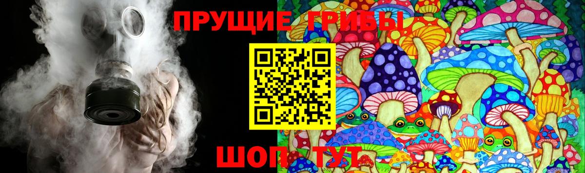 Псилоцибиновые грибы MAGIC MUSHROOMS  Вход с VPN  Галлюциногенные грибы прущие грибы  Волжск 